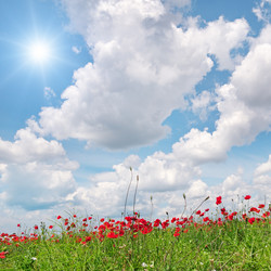 Similar image 5939360