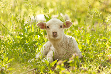 Similar image 5939367