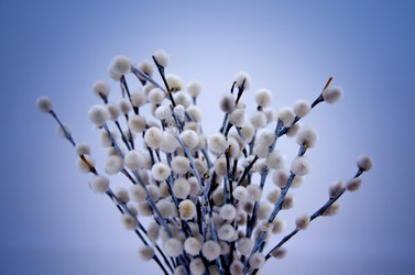 Similar image 5939384