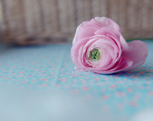 Similar image 5939401