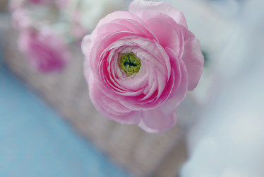 Similar image 5939405