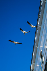 Similar image 5939480