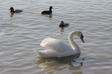 Similar image 5939509