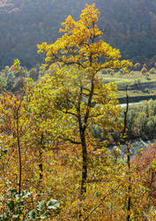 Similar image 5939513