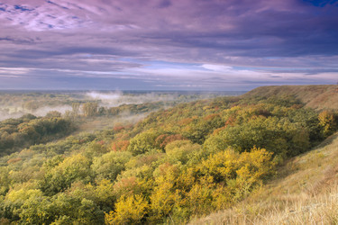 Similar image 5939553