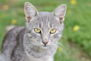 Similar image 5939555