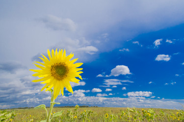 Similar image 5939563