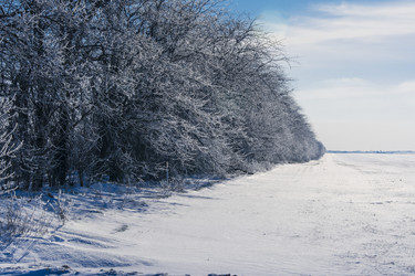 Similar image 5939573