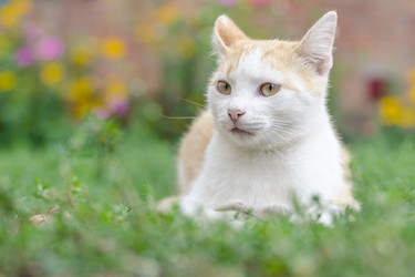 Similar image 5939574