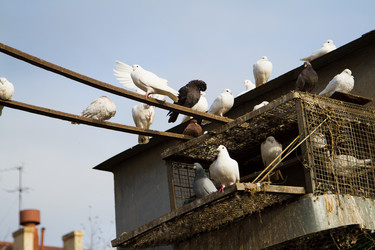 Similar image 5939661