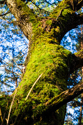 Similar image 5939824