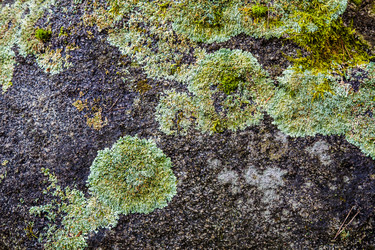 Similar image 5939825