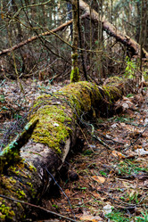 Similar image 5939826