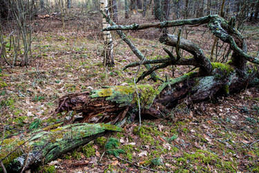 Similar image 5939828