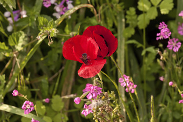 Similar image 5940016