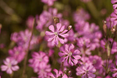 Similar image 5940017