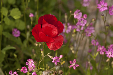 Similar image 5940018