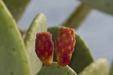 Similar image 5940021