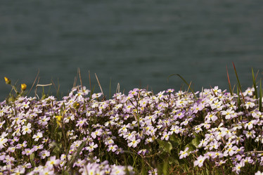 Similar image 5940022