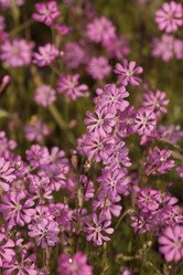 Similar image 5940023