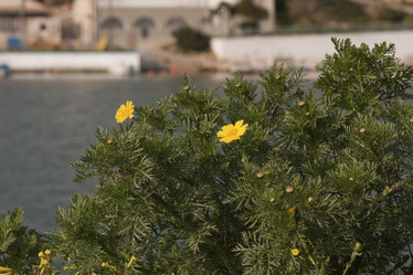 Similar image 5940024