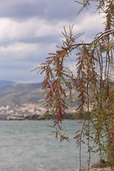 Similar image 5940025