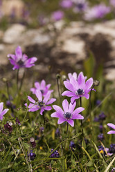 Similar image 5940026