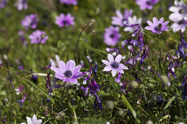 Similar image 5940033