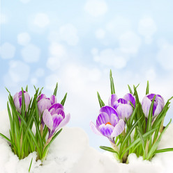 Similar image 5940152