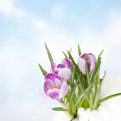 Similar image 5940153