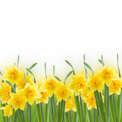 Similar image 5940168