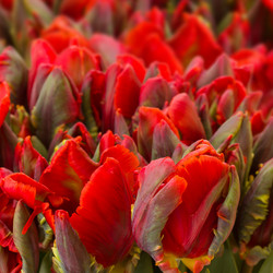 Similar image 5940169