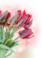 Similar image 5940170