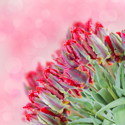 Similar image 5940171