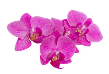 Similar image 5940174