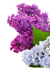 Similar image 5940184