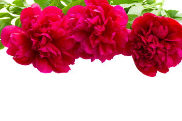 Similar image 5940185