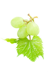 Similar image 5940193