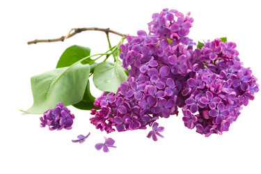 Similar image 5940198