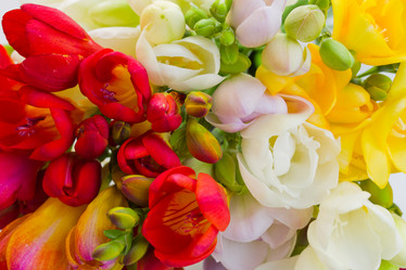 Similar image 5940219