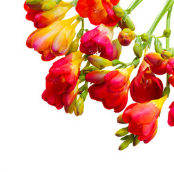 Similar image 5940226