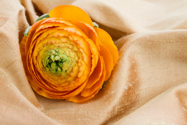 Similar image 5940227