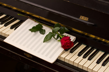 Similar image 5940233