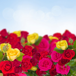 Similar image 5940236