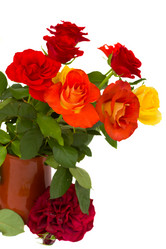 Similar image 5940238