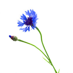 Similar image 5940249