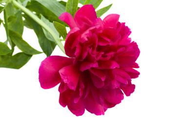 Similar image 5940250