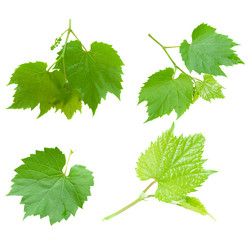 Similar image 5940254