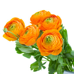 Similar image 5940277