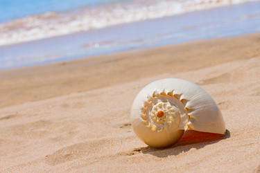 Similar image 5940284